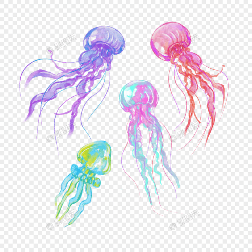 水彩海洋生物彩色水母图片