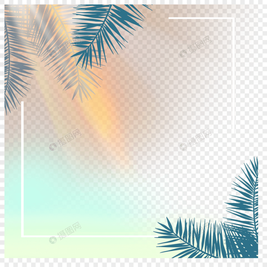 阳光光线棕榈树边框图片