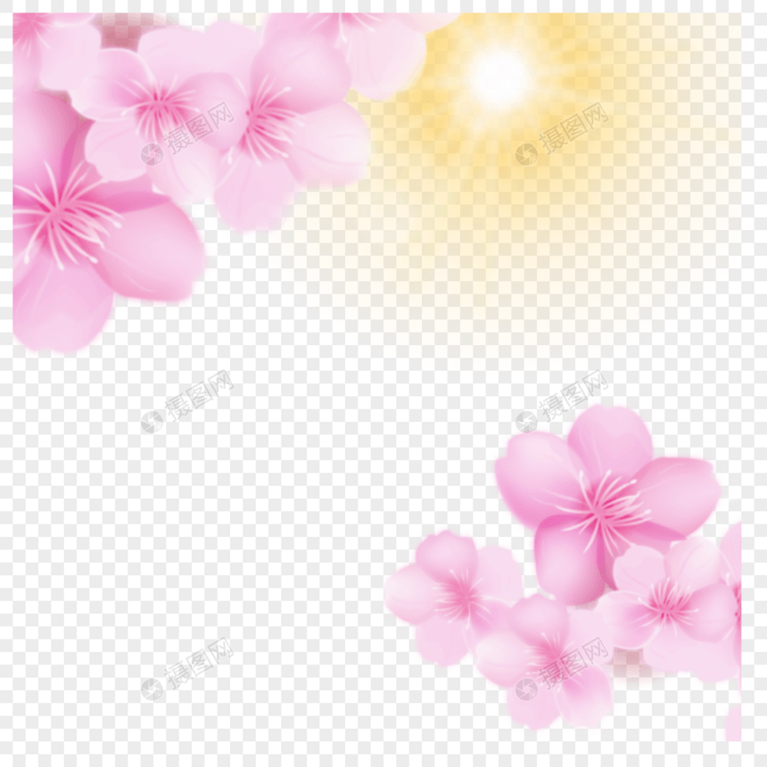 浪漫粉色花朵边框图片