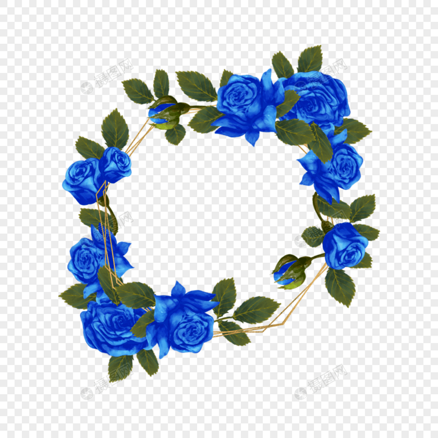 蓝色玫瑰花蓝金花卉植物花朵图片