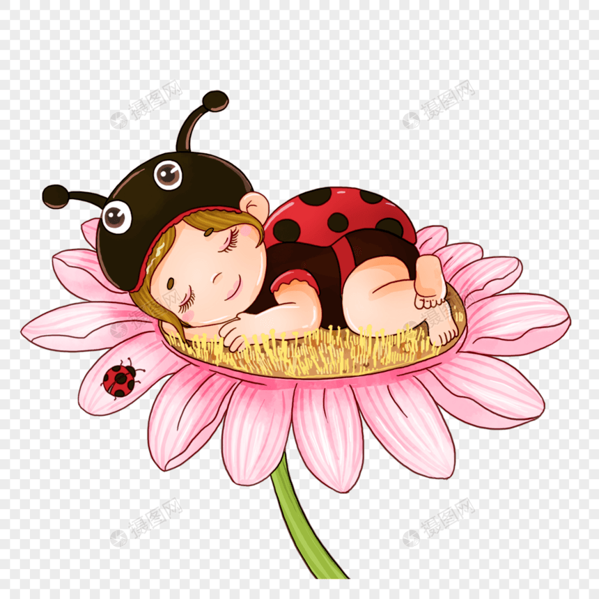 瓢虫花朵睡觉卡通画图片