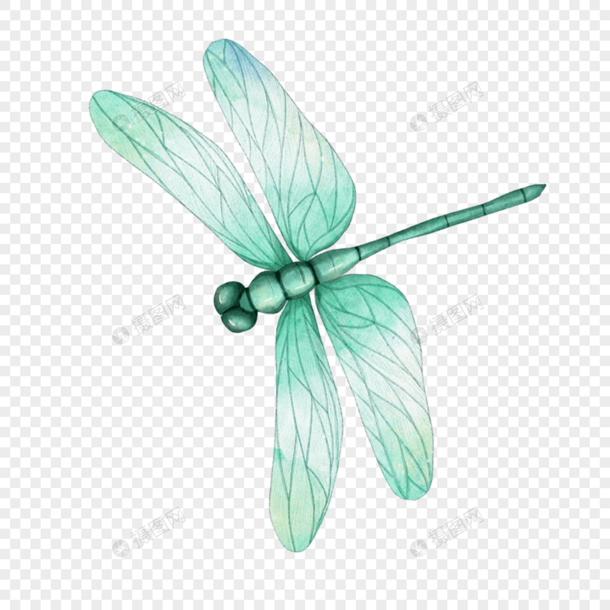 昆虫蜻蜓绿色水彩图片