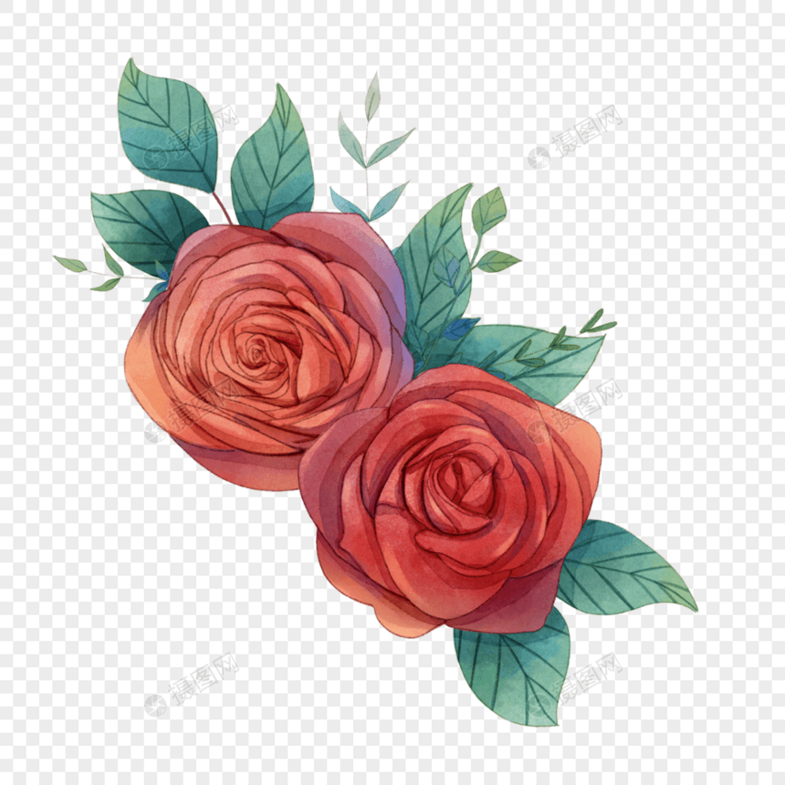 红色水彩玫瑰图片