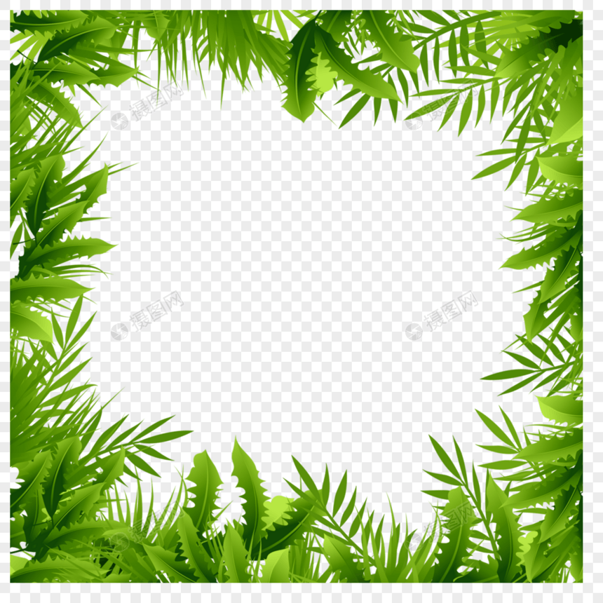 夏季热带树叶边框创意图片