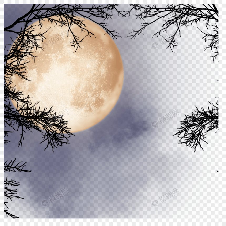 树林中明亮的月亮图片