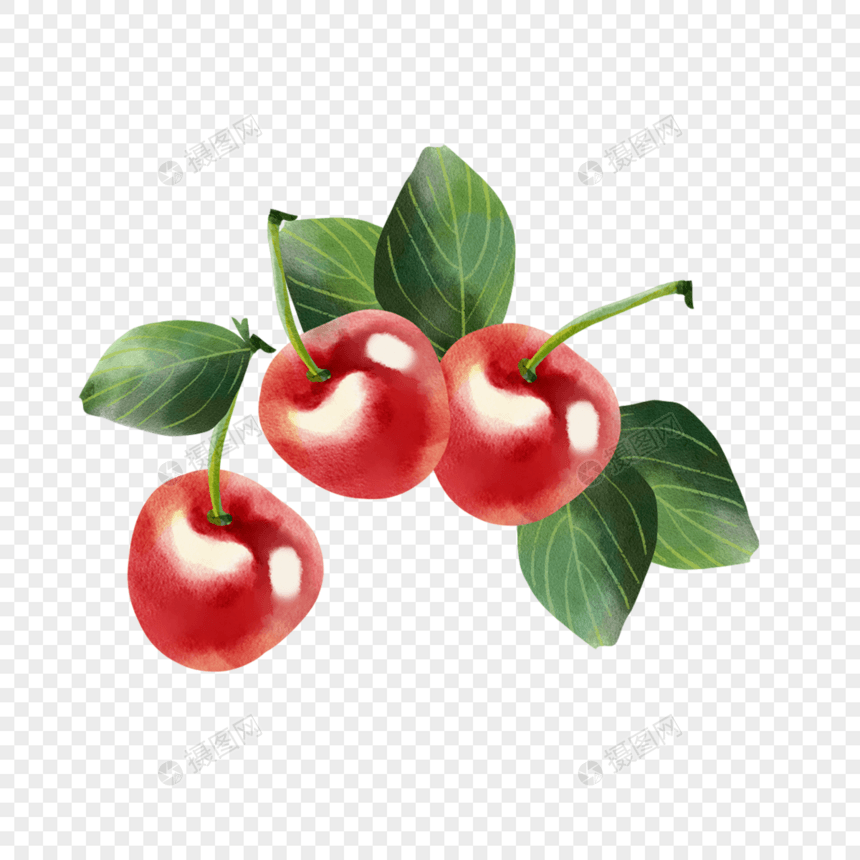 水彩夏季水果大颗红樱桃图片