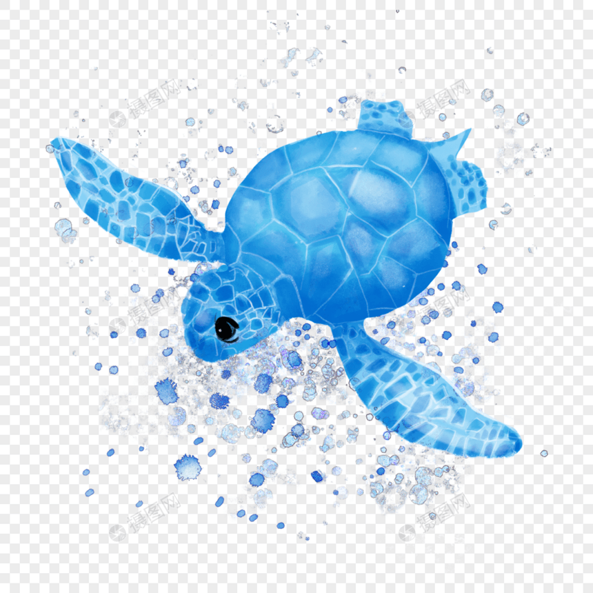 海龟动物蓝色水彩图片