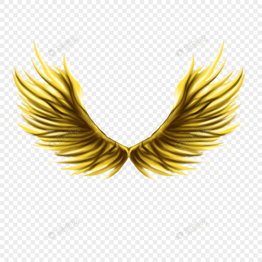 羽毛展翼金色的翅膀图片