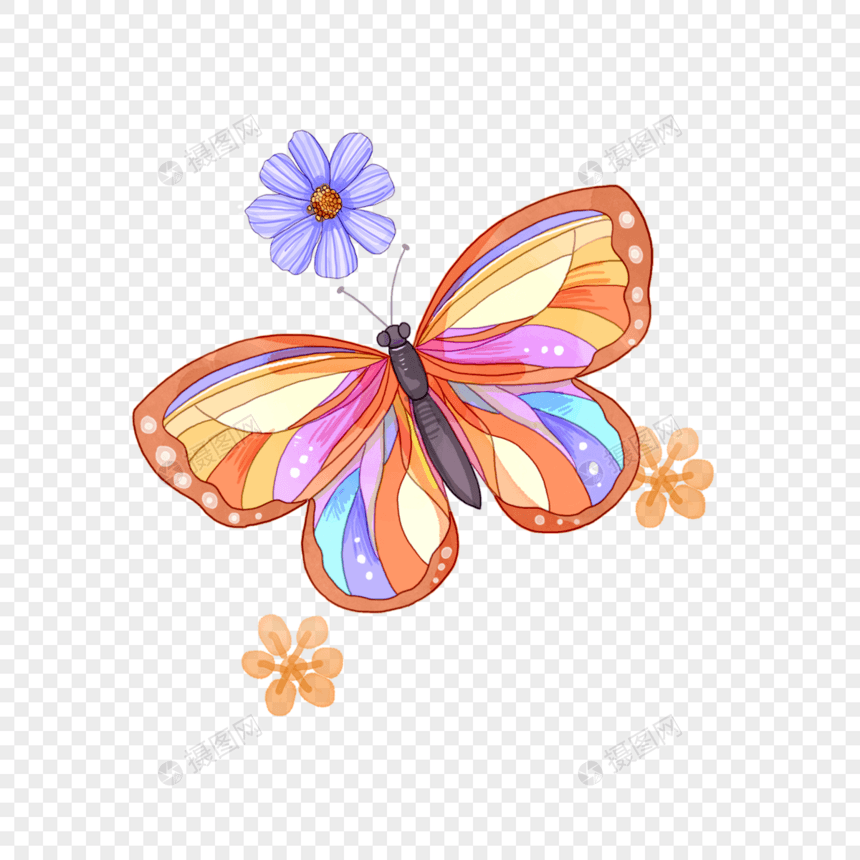 彩色蝴蝶和花朵图片