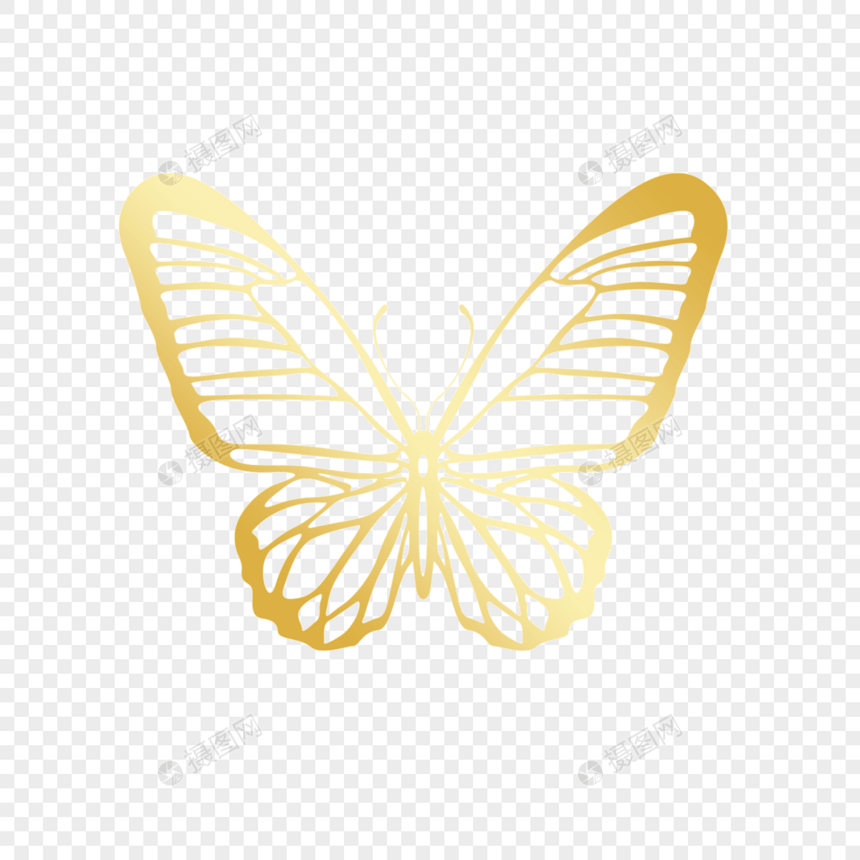 金色手工镂空线稿蝴蝶图片