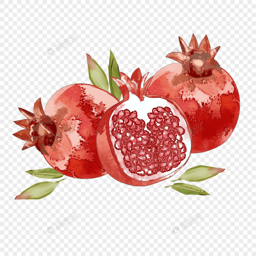水彩番石榴水果插图图片