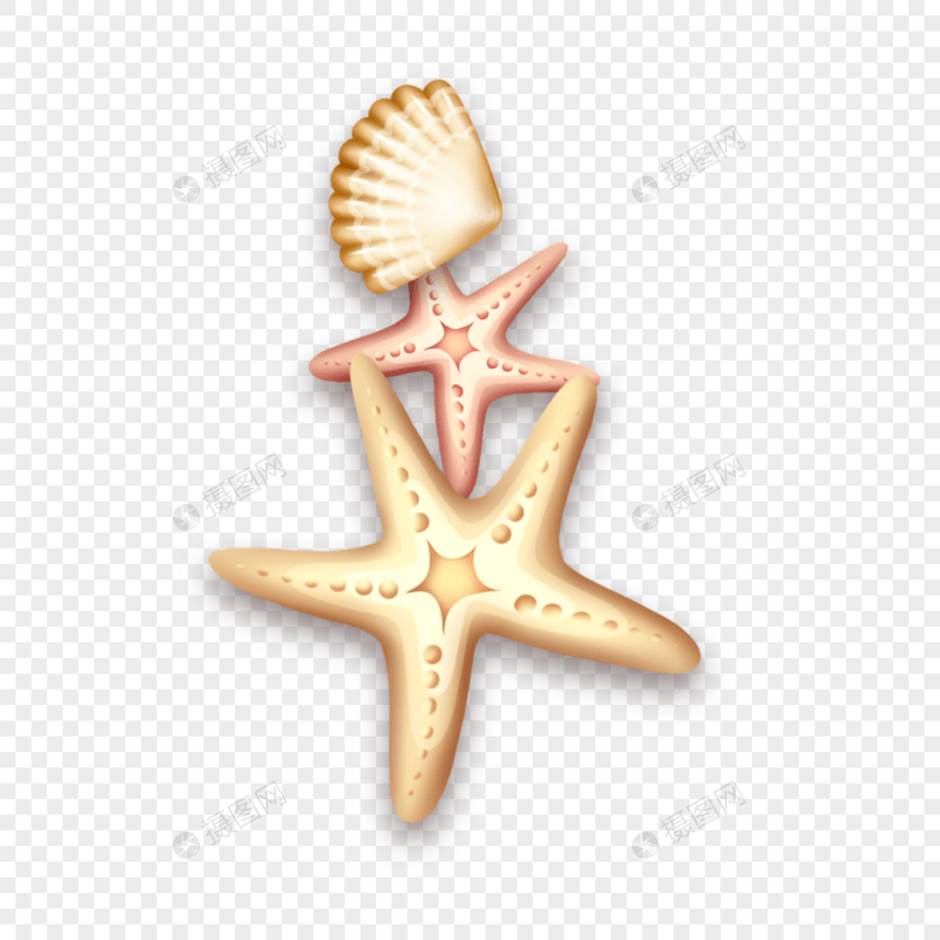 浅黄色海星贝壳图片