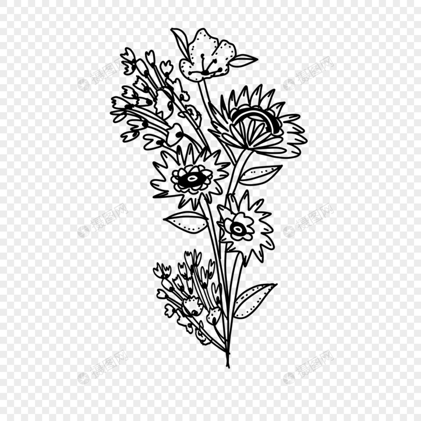 多种花朵黑白线条画花卉图片