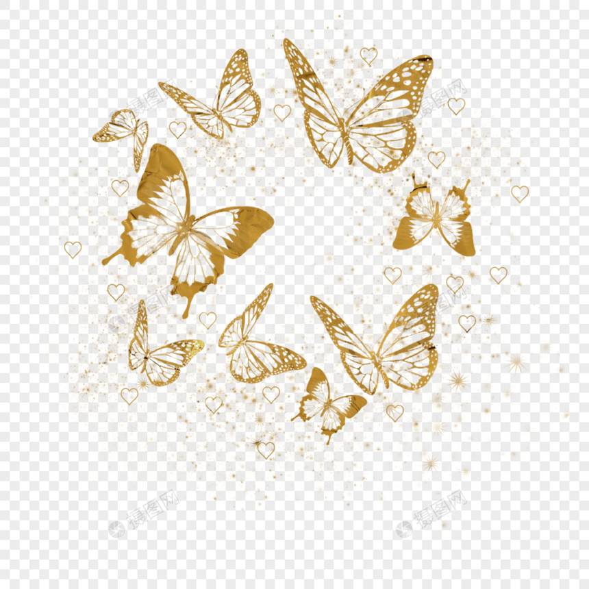 圆形组合金粉光效蝴蝶图片