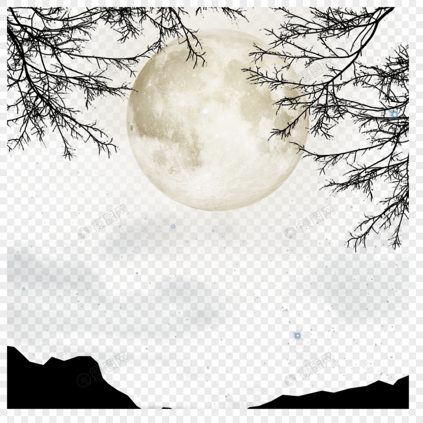 树枝间明亮的月亮图片
