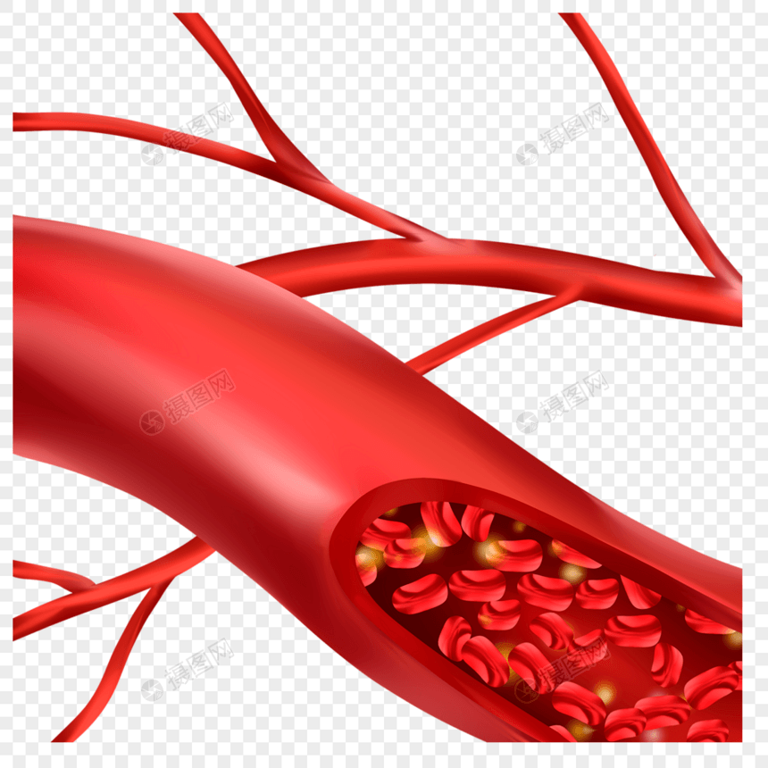 人体血管医学血细胞插图图片