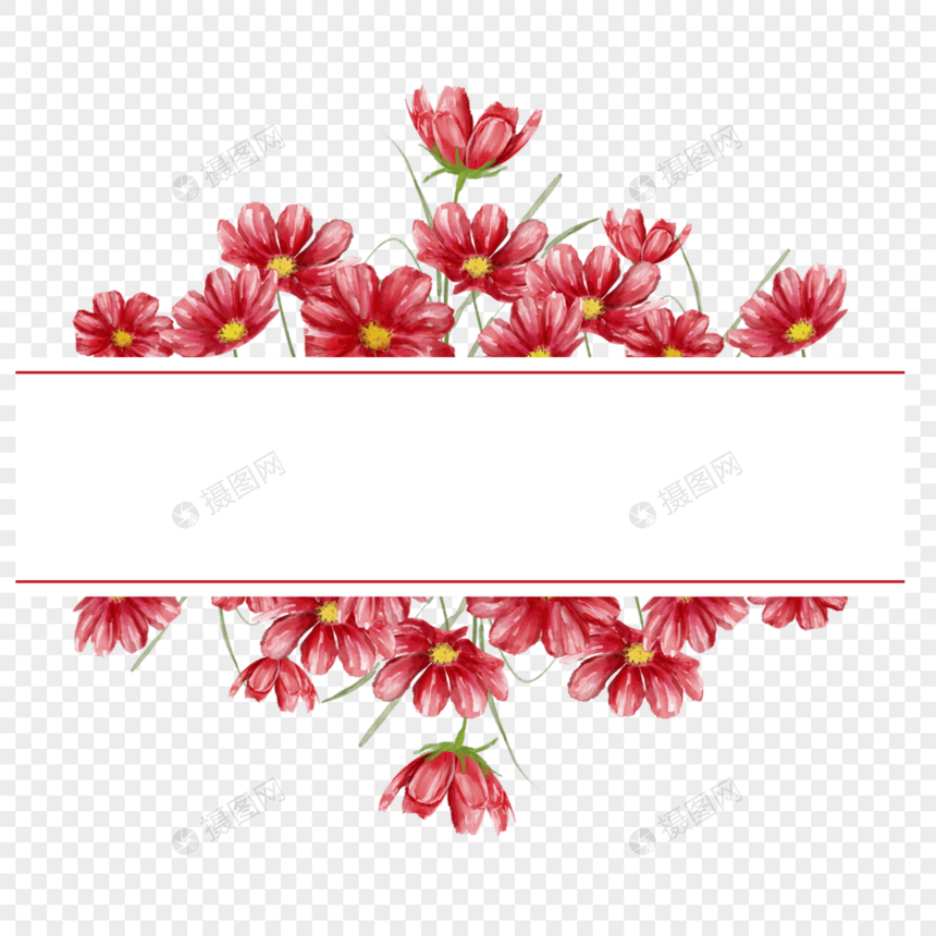 水彩红色格桑花卉几何边框图片