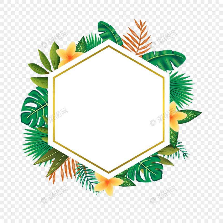 六边形水彩夏季热带树叶边框图片