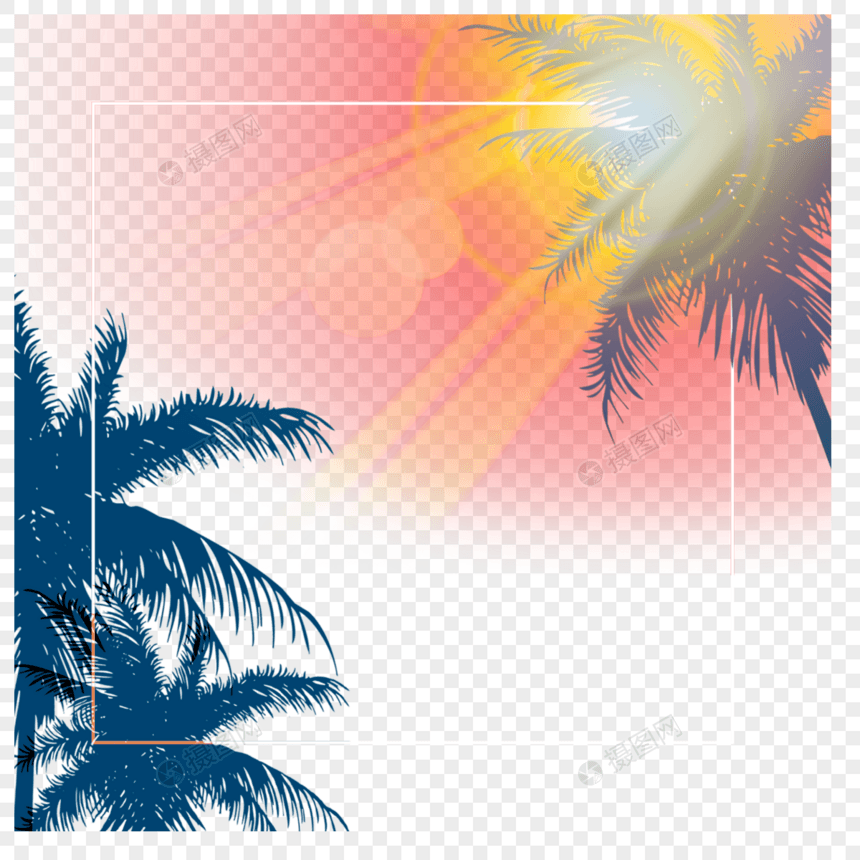 阳光照射椰树植物边框图片