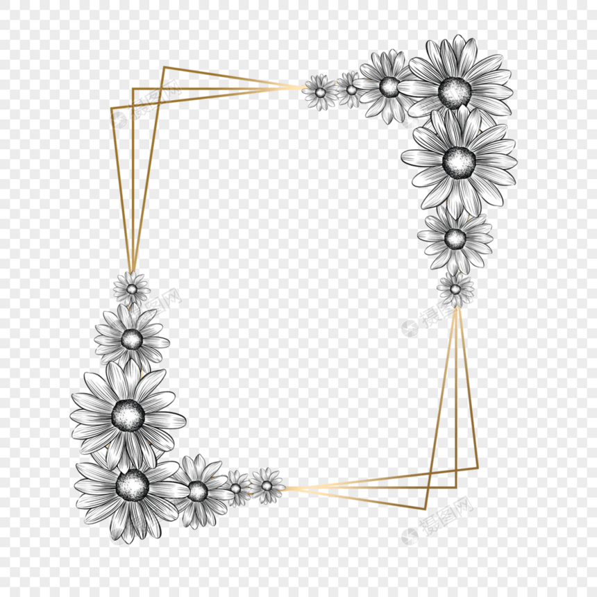 素描花卉金色边框图片