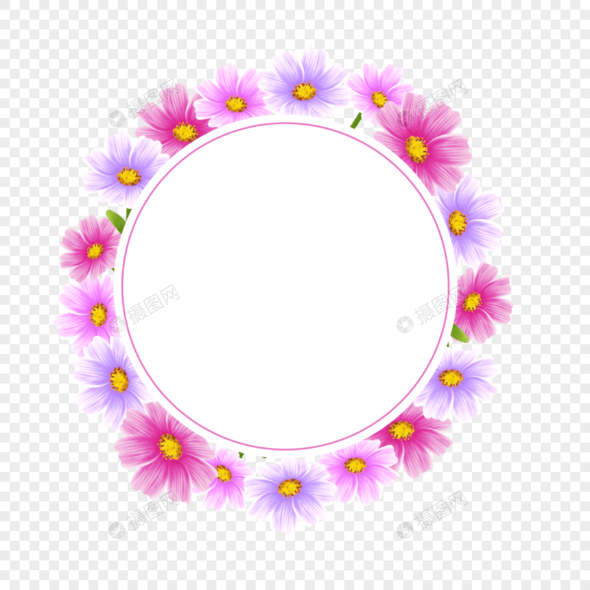 水彩格桑花卉圆形粉色边框图片