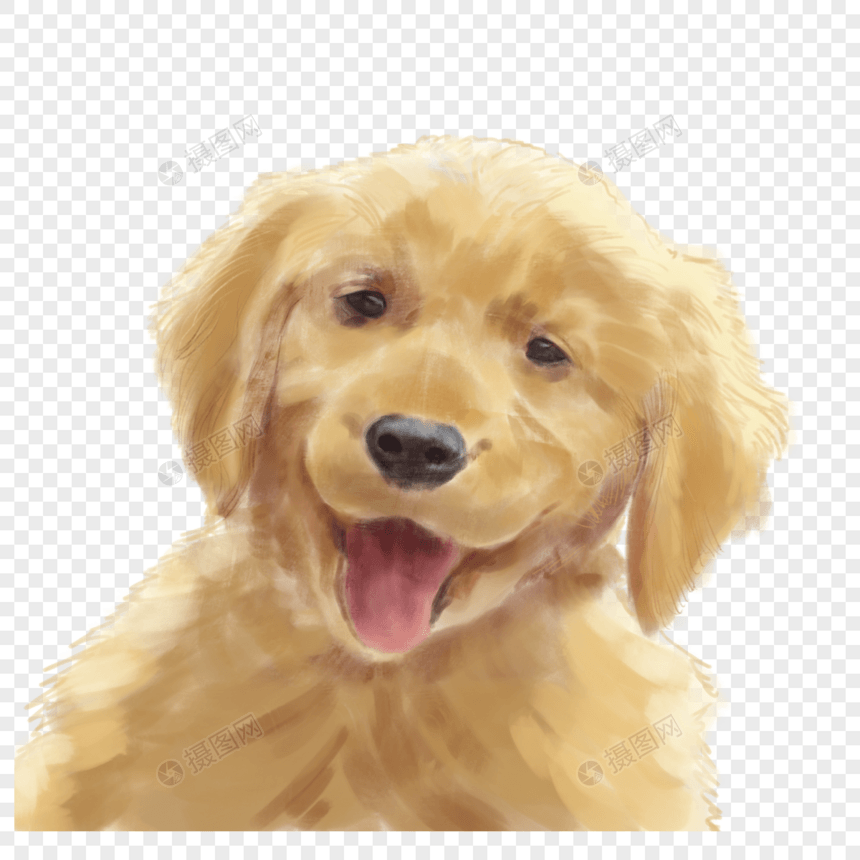 金色微笑狗水彩可爱图片