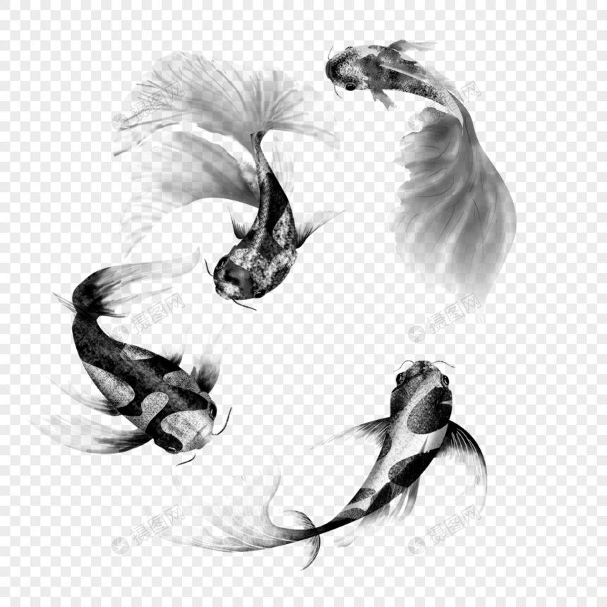 黑色白色花纹锦鲤鱼群图片