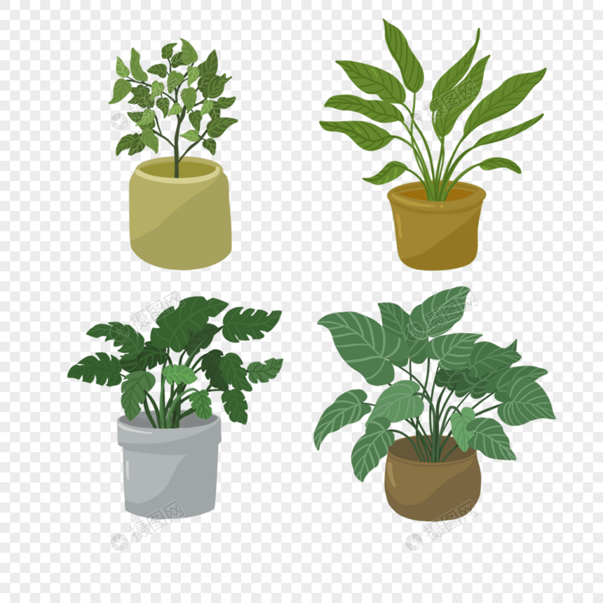 室内绿色植物盆栽剪贴画图片