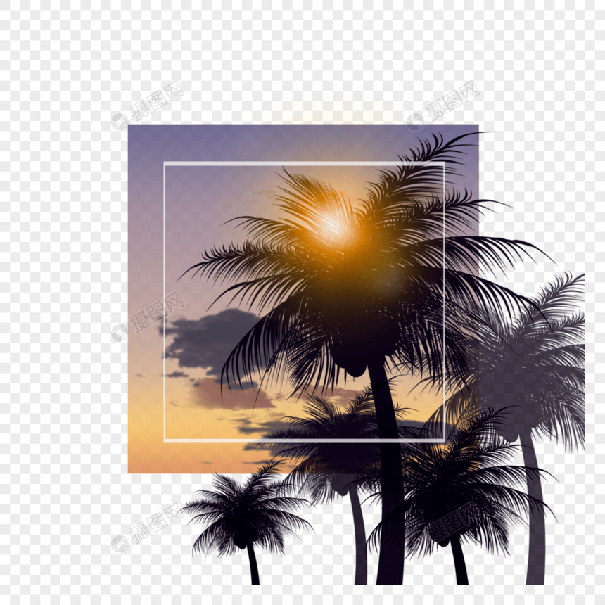 夕阳椰子树剪影夏季夜晚边框图片