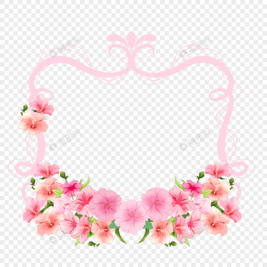 粉色条纹边框花卉木槿花图片