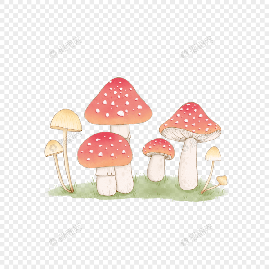 大自然水彩蘑菇植物图片