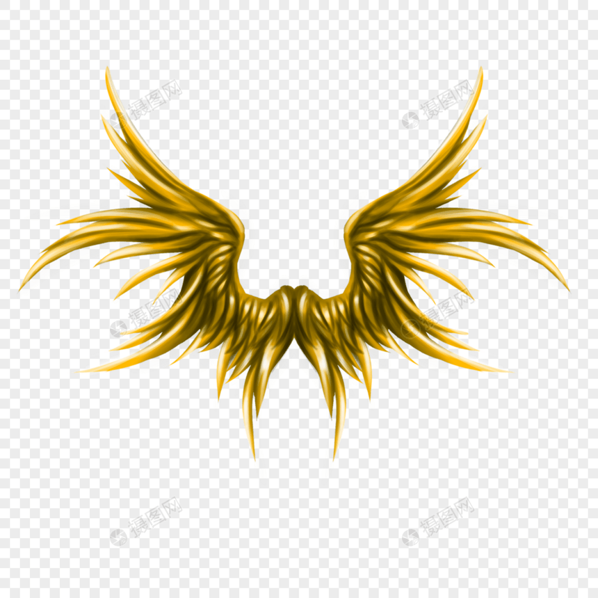 尖锐羽毛金色的翅膀图片