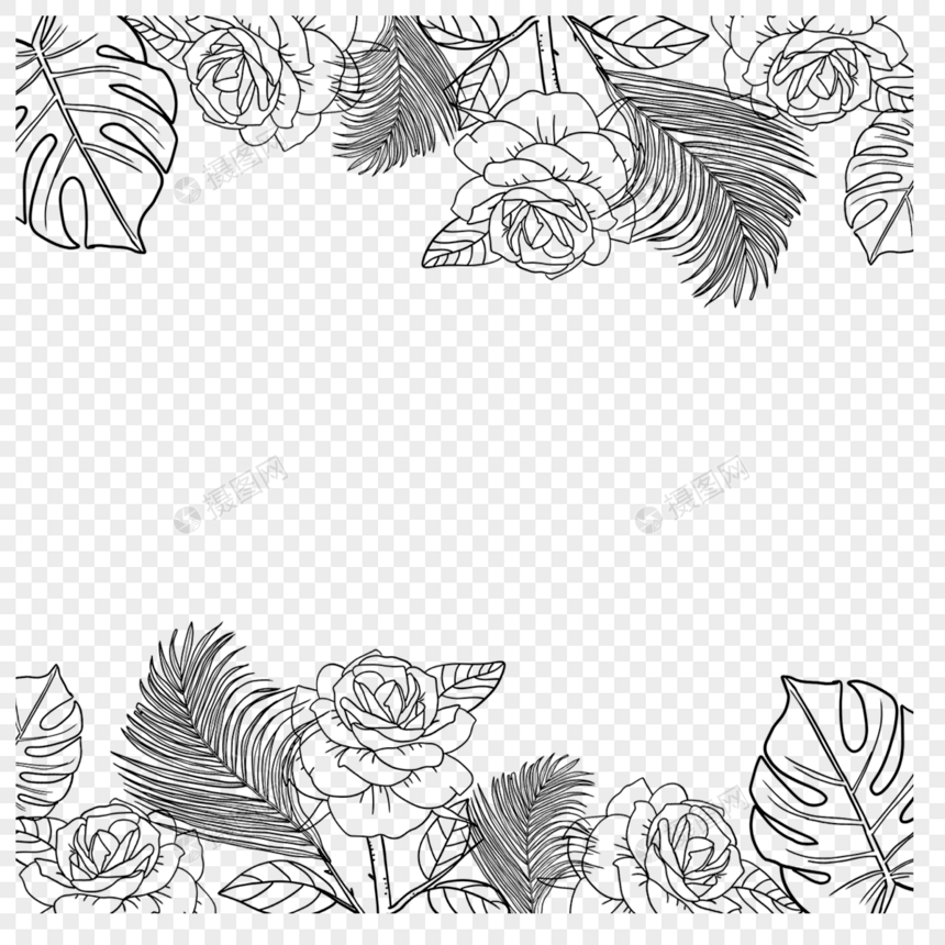 花卉热带植物线稿边框图片