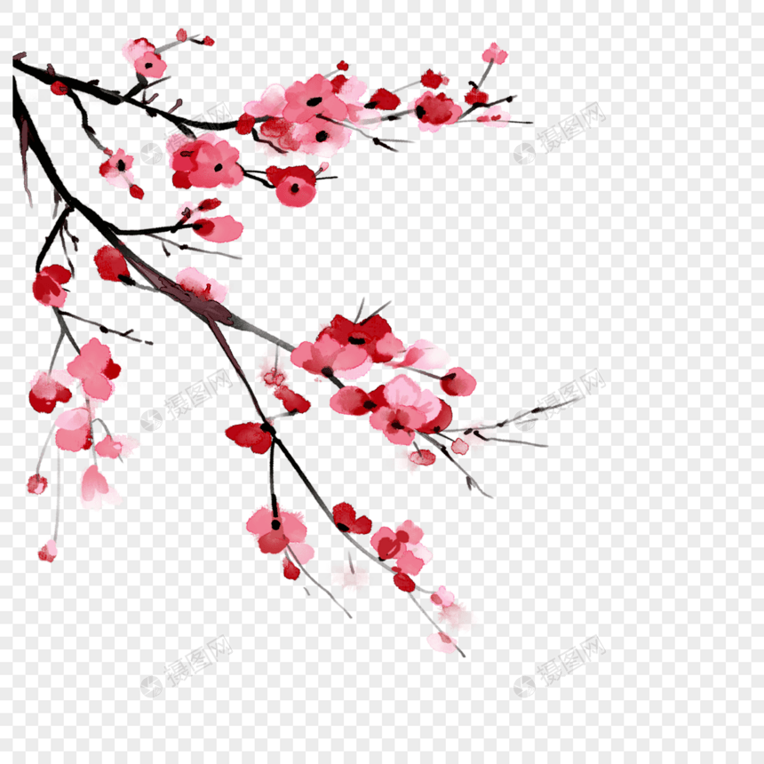 花枝玫红色水彩风格插画图片