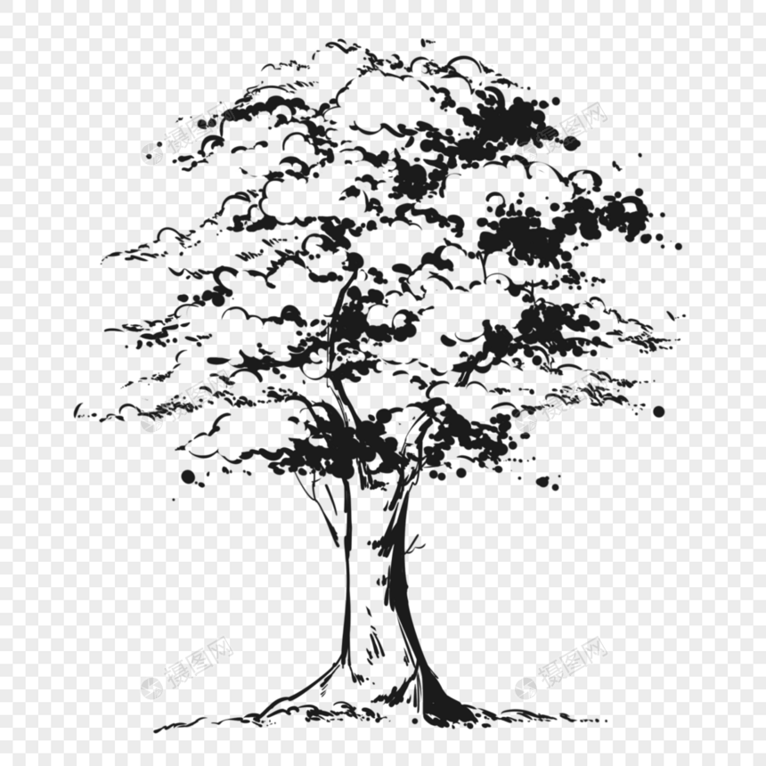素描风格的树木树枝叶子黑色图片