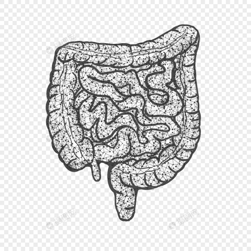 抽象多边形大肠器官几何医学图片