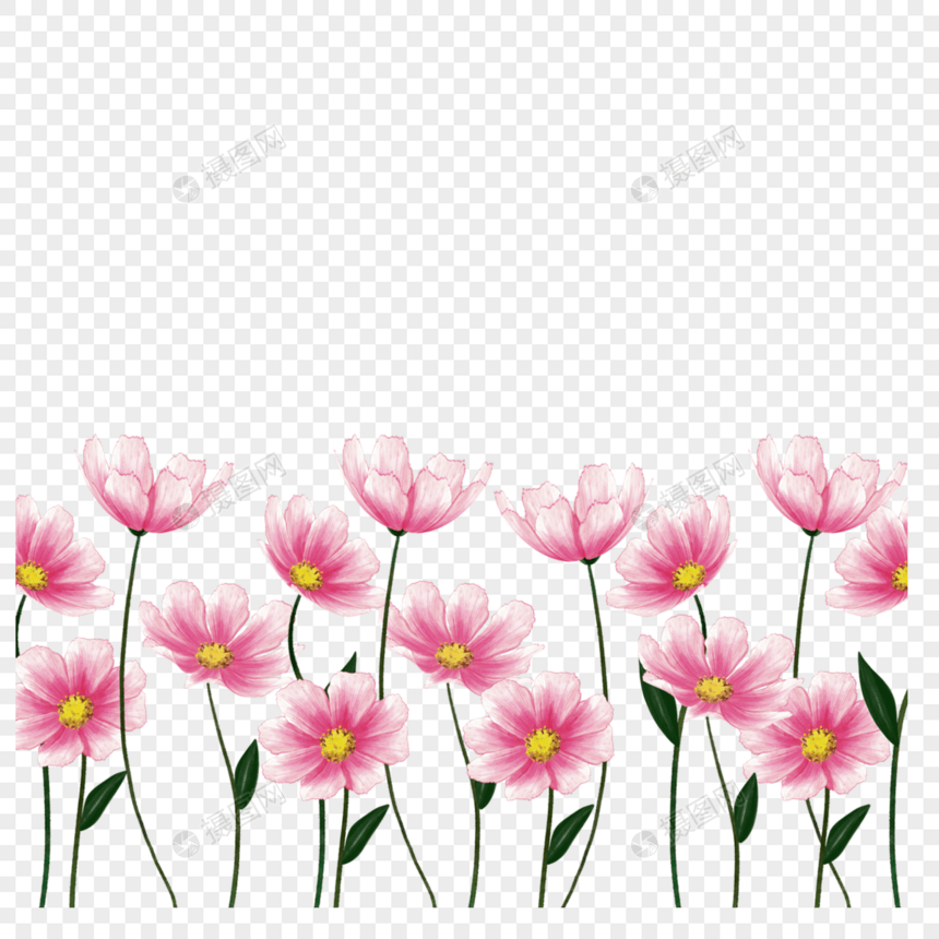 粉色水彩格桑花卉边框创意图片