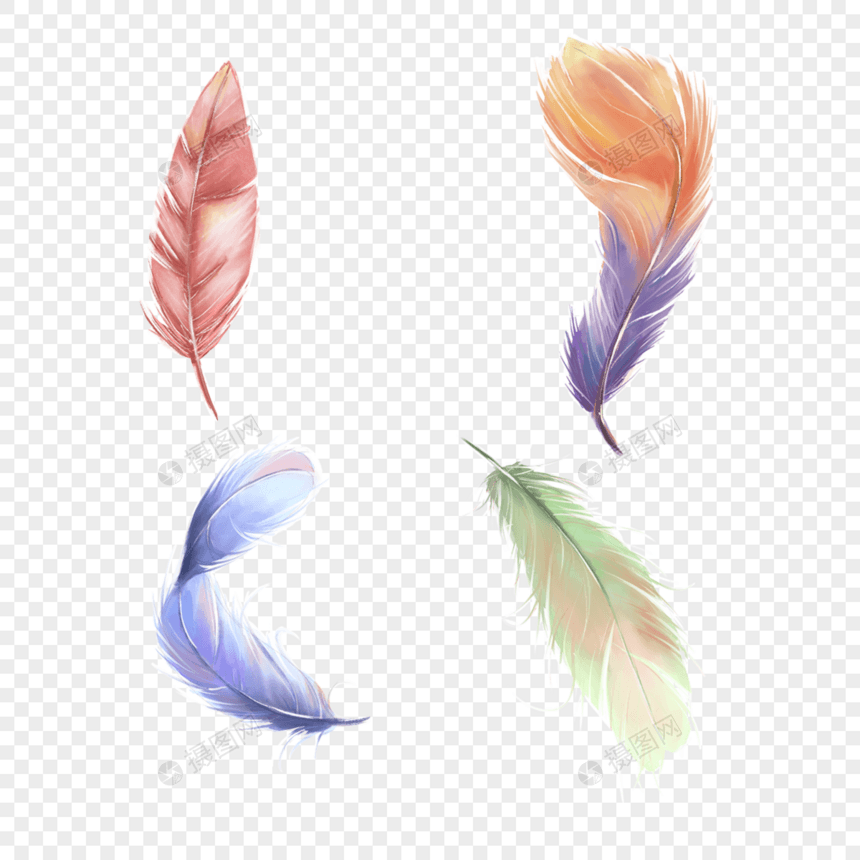 水彩彩色纹理羽毛图片