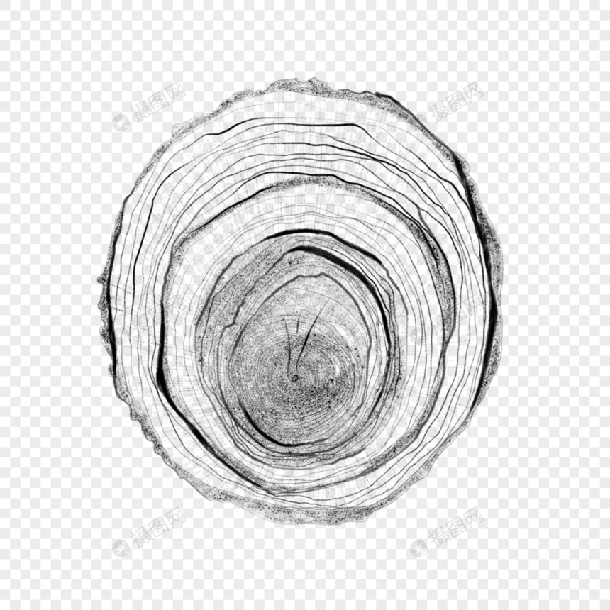 年轮原木材质灰度图片
