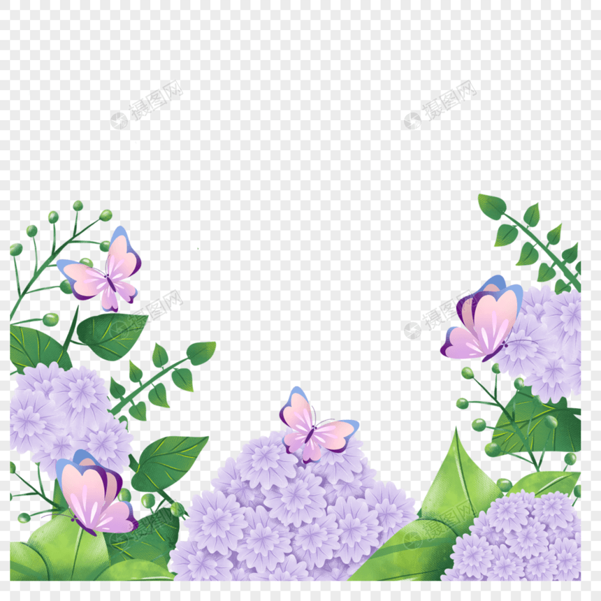 绣球花卉水彩蝴蝶紫色自然边框图片