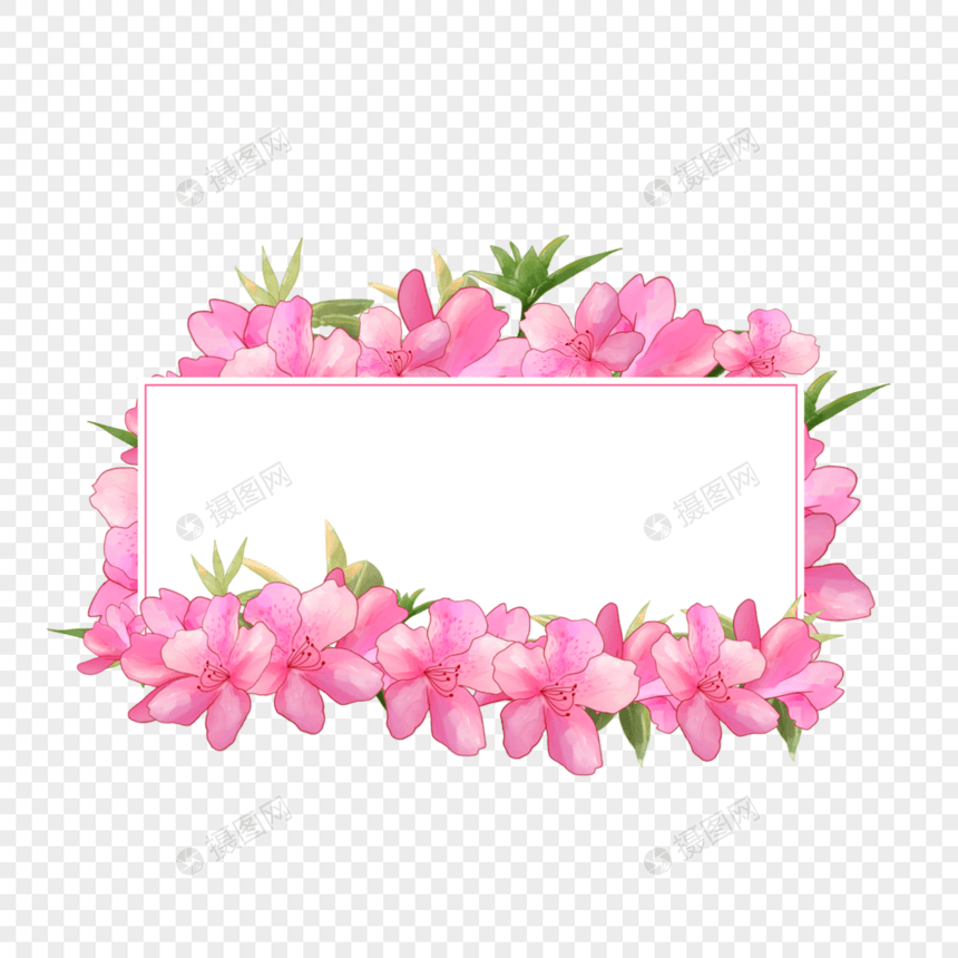 水彩粉色杜鹃花卉边框图片