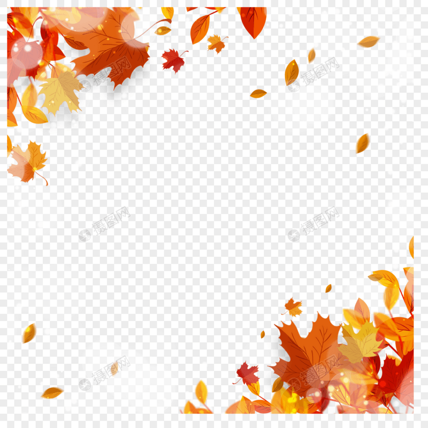 秋季光效树叶边框橙色图片