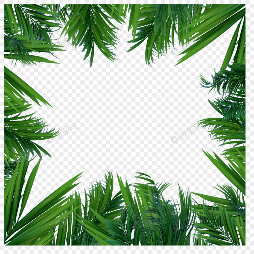创意绿色夏季热带树叶植物边框图片