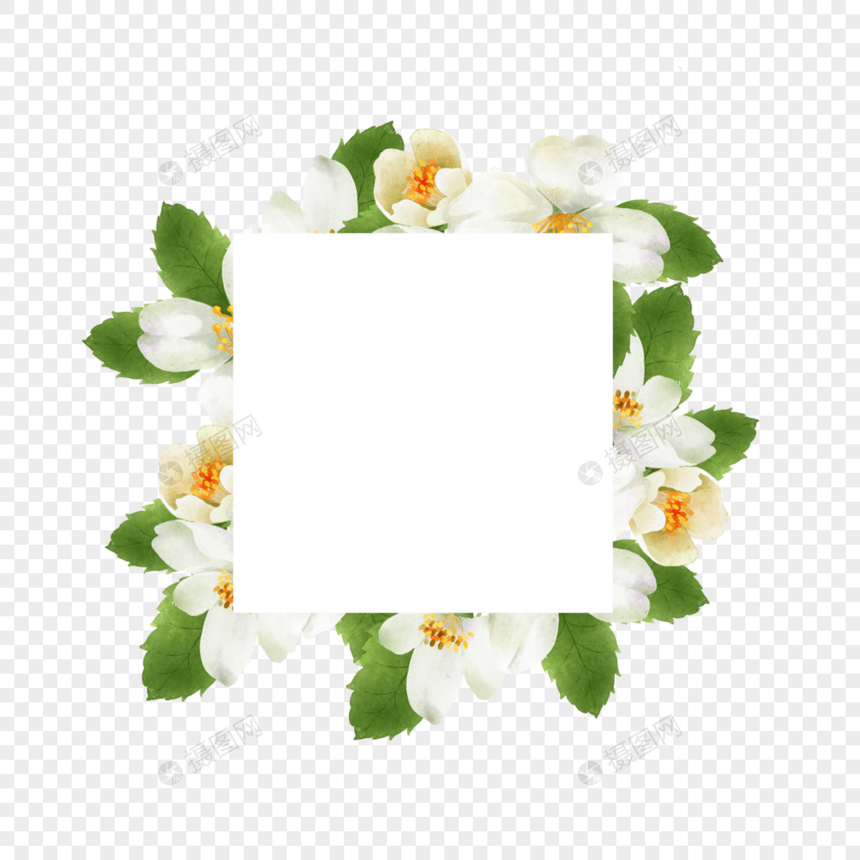 茉莉花边框方形水彩花卉图片