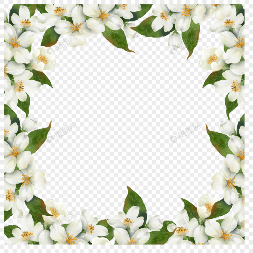 茉莉花边框鲜艳水彩花卉图片