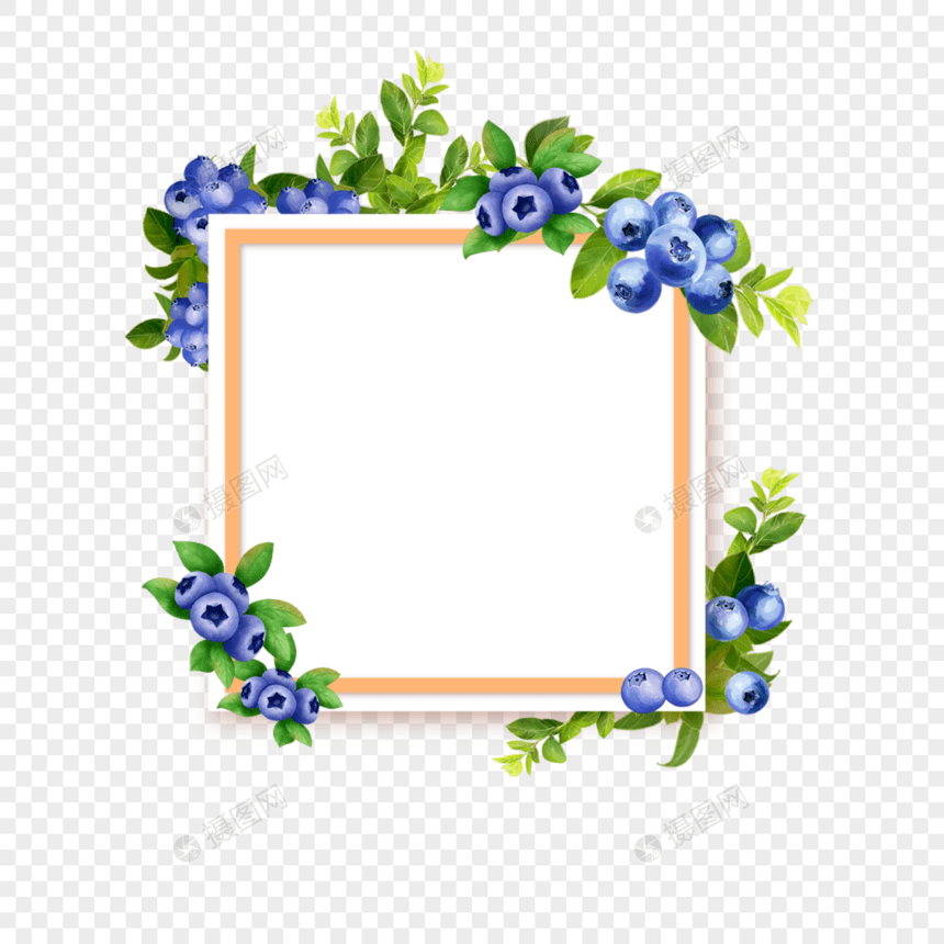 水彩蓝莓橙色方形边框图片