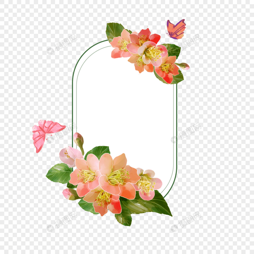 水彩海棠花卉蝴蝶边框图片