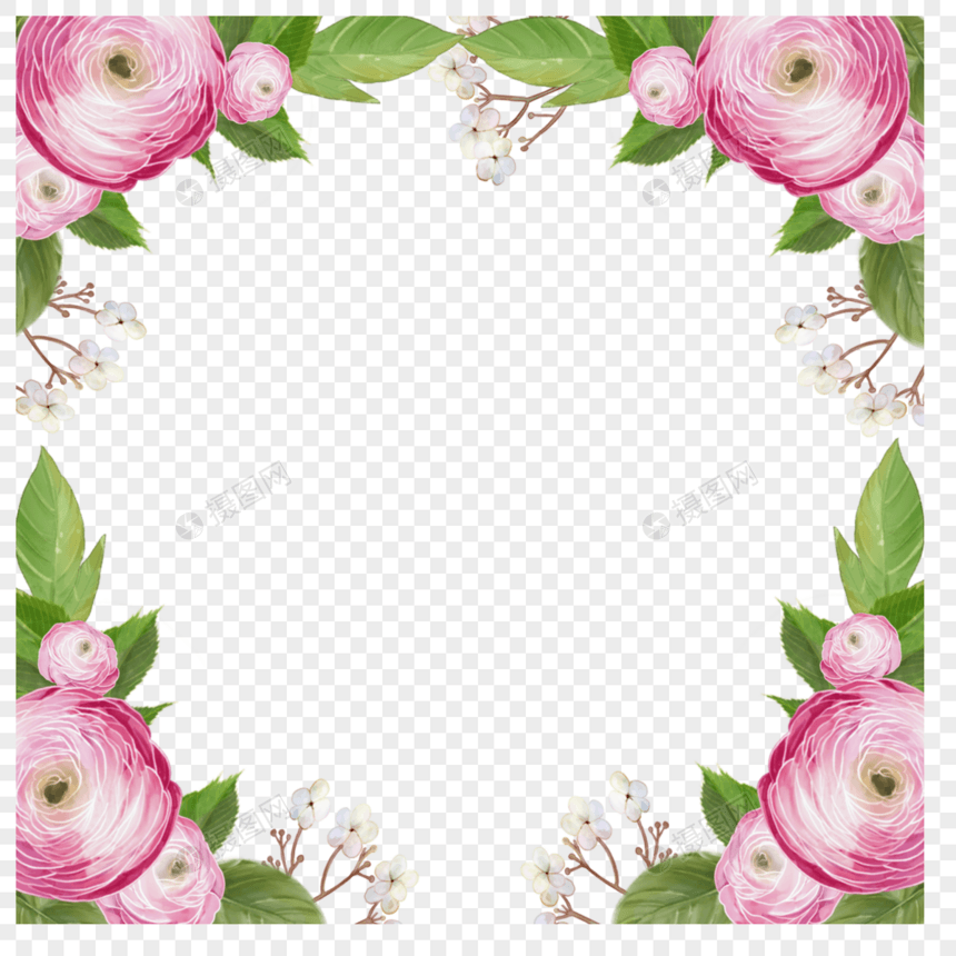 水彩婚礼粉色鲜艳花卉花毛茛边框图片