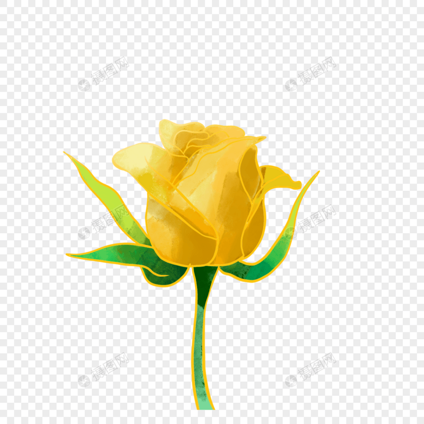 黄玫瑰水彩花卉金色线描图片