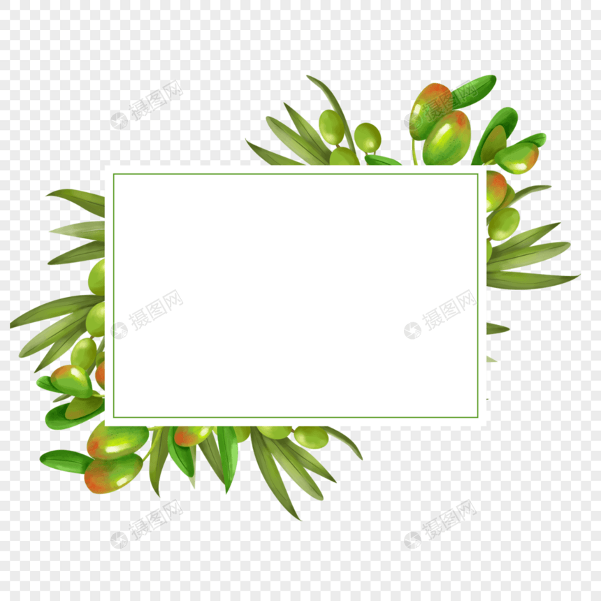 创意橄榄方形边框图片